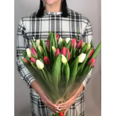 Элитные тюльпаны микс 25 шт